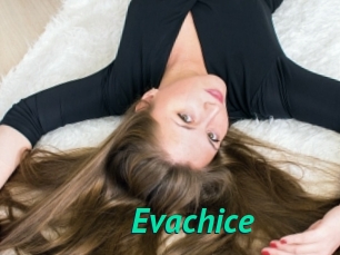 Evachice