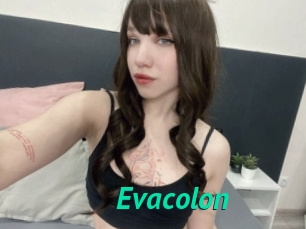 Evacolon