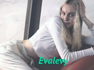 Evalevy