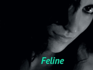 Feline