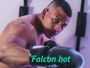 Falcon_hot