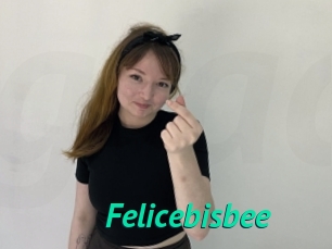 Felicebisbee