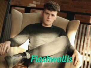 Flashwallis