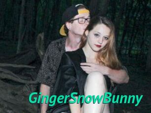 GingerSnowBunny