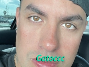 Gatoccc