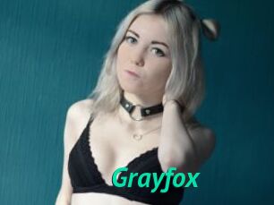 Grayfox