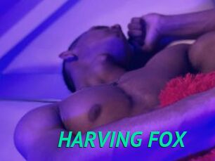 HARVING_FOX