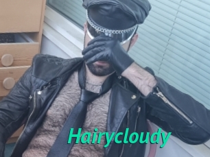 Hairycloudy