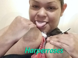 Harperroses