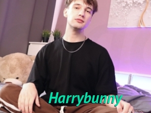 Harrybunny