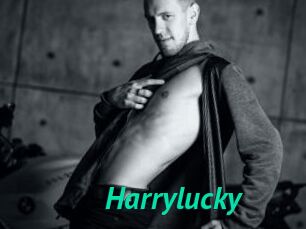 Harrylucky