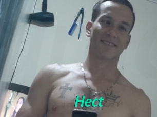 Hect