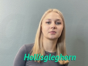 Hollisgleghorn