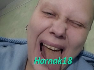 Hornak18