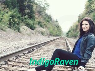 IndigoRaven