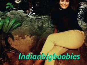 Indianbigboobies