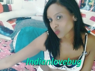 Indianlovebug