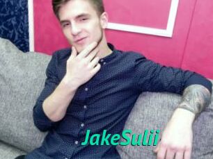 JakeSulii