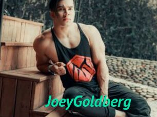 JoeyGoldberg