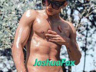 JoshuaFox