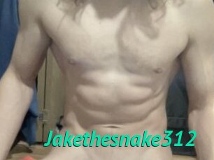 Jakethesnake312