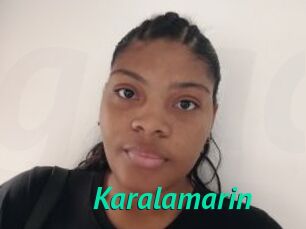 Karalamarin