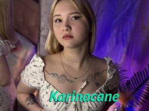 Karinacane
