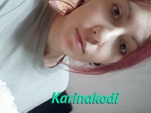 Karinakodi