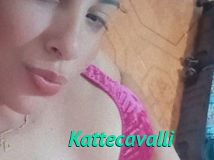 Kattecavalli