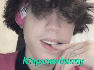 Kingsnowbunny