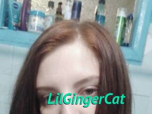 LilGingerCat