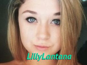 LillyLantana