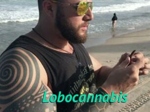 Lobocannabis