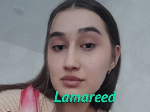 Lamareed