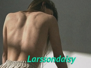 Larssondaisy