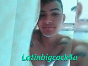 Latinbigcock4u