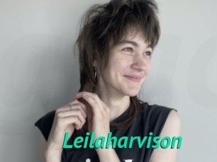 Leilaharvison