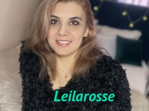 Leilarosse