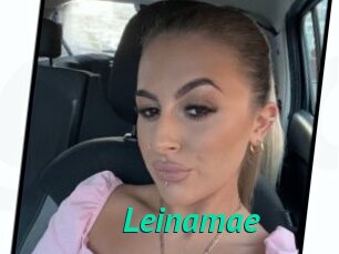 Leinamae