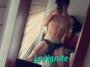 Leoignite