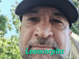 Leoncarpita