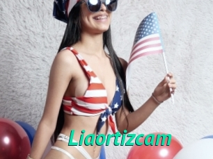 Liaortizcam
