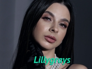 Lillygrays