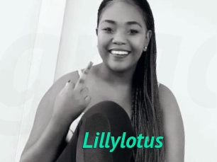 Lillylotus