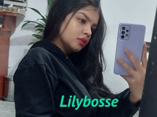 Lilybosse