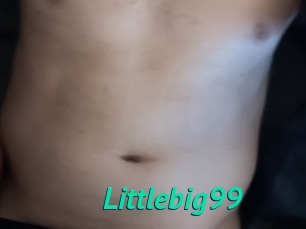 Littlebig99