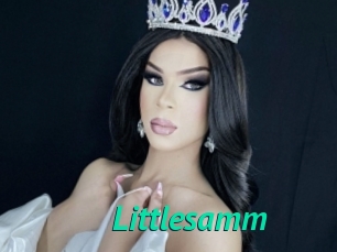 Littlesamm