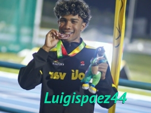 Luigispaez44