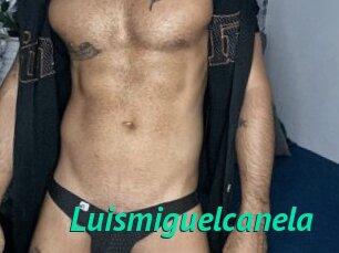 Luismiguelcanela