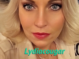 Lydiacougar